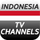 Indonesia TV Channels Info