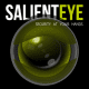 SalientEye Home Security Alarm