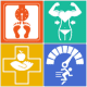Health Calculator