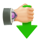 Internet Download Accelerator