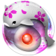 Zen Koi