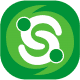 SalingSapa