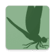 Insect Identifier App by Photo