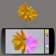 Colorify Augmented Reality