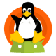 Complete Linux Installer
