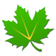 Greenify