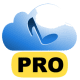 Music Download Paradise Pro