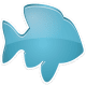 POF Free Online Dating