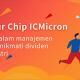 Icmicron Banner 0a835