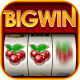Big Win Slots - Slot Machines