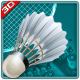 Badminton 3D (3D Games)