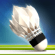 Badminton League