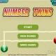 Number Twins