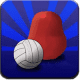 Blooby Volley