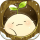 Mandora