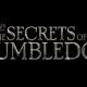 Fantastic Beasts The Secrets Of Dumbledore 967b2