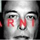Elon Musk Diancam Hacker Ba0be