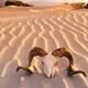 Death Valley 20240913 223212 0000 F19dc