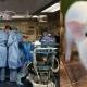Para Dokter Berhasil Cangkok Ginjal Babi Ke Manusia Begini Dampaknya Ke Pasien F298e