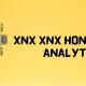 Apa Itu Xnx Xnx Honeywell Analytics 40 Manual Ini Penjelasannya C002d