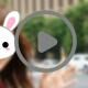 Full Version Film Japanese 56204