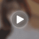 Free Vpn Proxy Video Japanese 41eac