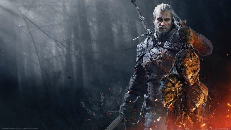 The Witcher 3 : Wild Hunt