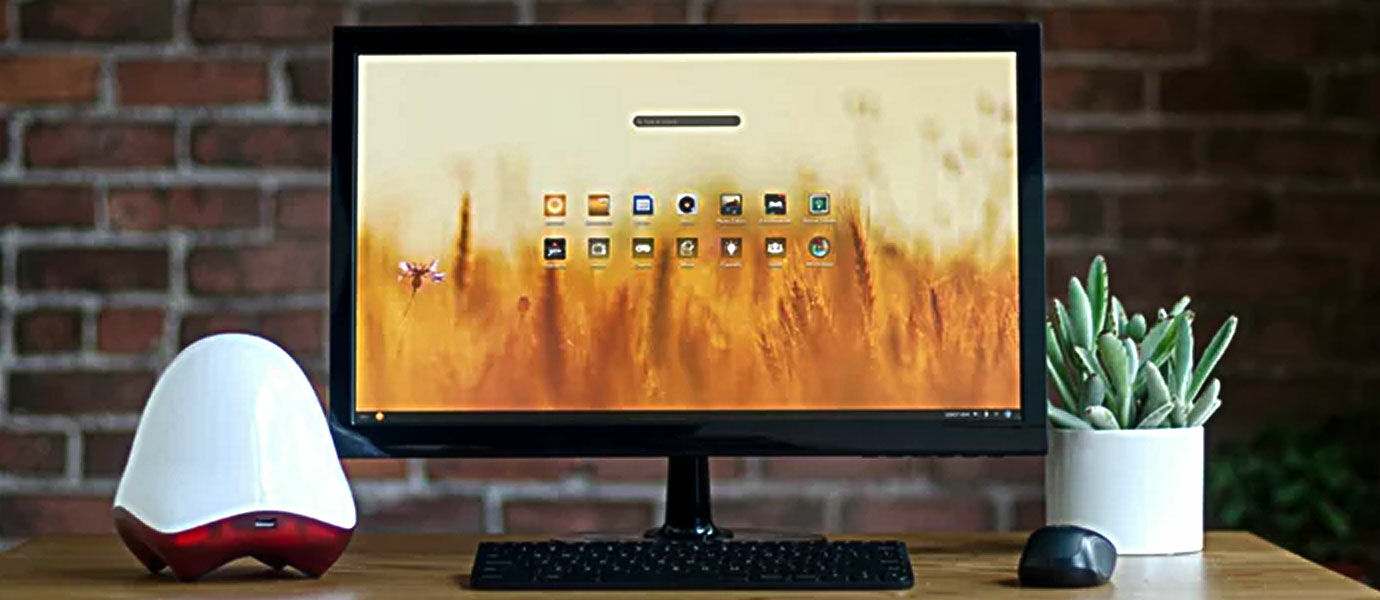 Pengen Buka Wikipedia Tanpa Internet Bisa!