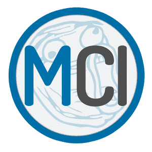 Meme Comic Indonesia