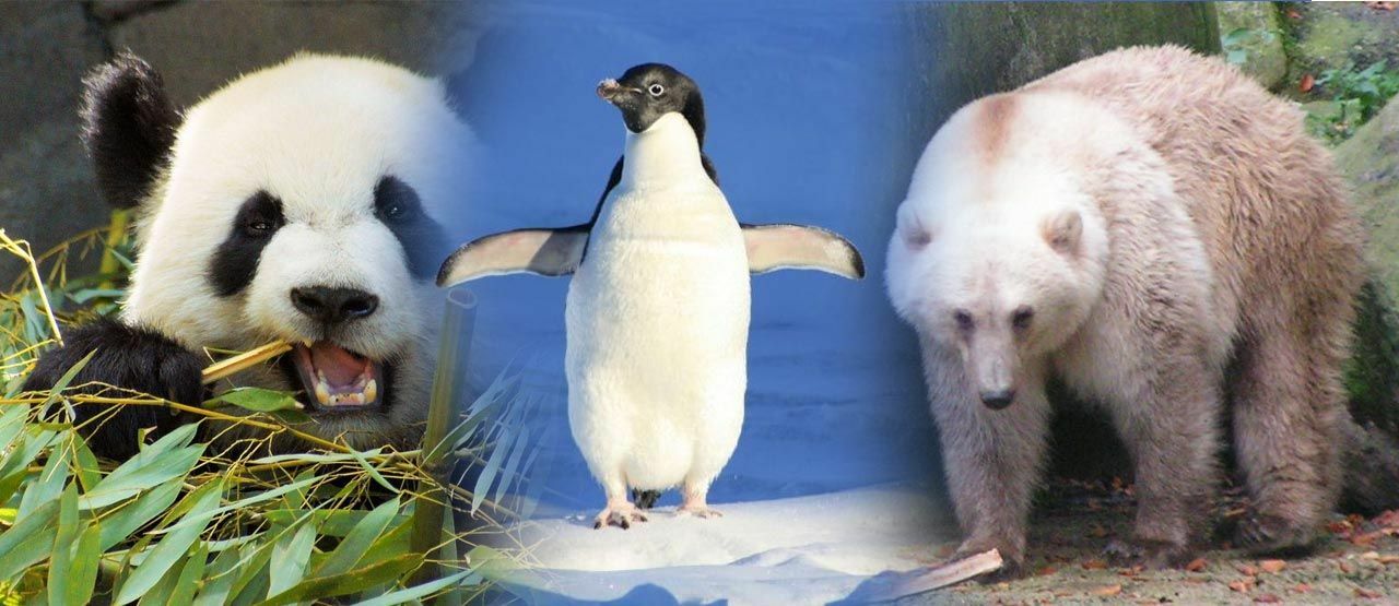 Https Assets Jalantikus Com Cache 0 0 Tips 2019 01 25 Cara Share Lokasi Ecb8a Jpg Https Assets Jalantikus Com Cache 0 0 Tips 2019 01 25 Cara Share Lokasi Ecb8a Jpg Begini Cara Share Lokasi Lewat Wa Google Maps Fb Line Dan Lainnya Tidak Perlu Https Assets Jalantikus Com Cache 0 0 Tips 2019 01 25 Cara Share Lokasi Ecb8a Jpg Https Assets Jalantikus Com Cache 0 0 Tips 2019 01 25 Cara Share Lokasi Ecb8a Jpg Begini Cara Share Lokasi Lewat Wa Google Maps Fb Line Dan Lainnya Tidak Perlu